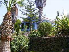 teneriffa garten