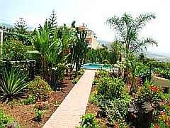 teneriffa fincas