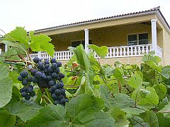 Finca Teneriffa Finca