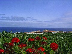 Apartment Teneriffa