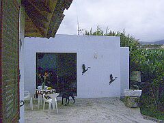 Ferienhaus Teneriffa Ferienh&auml;user 