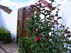 Finca, Teneriffa, Fincas 