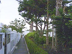 teneriffa blick
