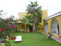 Apartments Teneriffa Apartment Appartement Ferienwohnung Teneriffa Ferienwohnungen