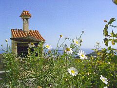 Finca, Teneriffa, Fincas 