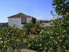 Finca, Teneriffa, Fincas 