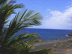 Apartments Teneriffa Apartment Appartement Ferienwohnung Teneriffa Ferienwohnungen