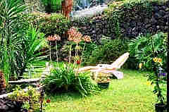 teneriffa Garten