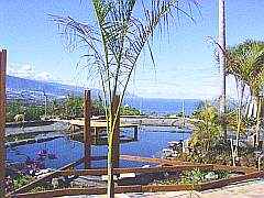 teneriffa garten