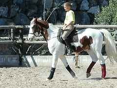 Bilder folgen