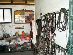 Bilder folgen