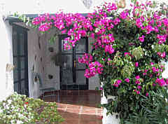 teneriffa 