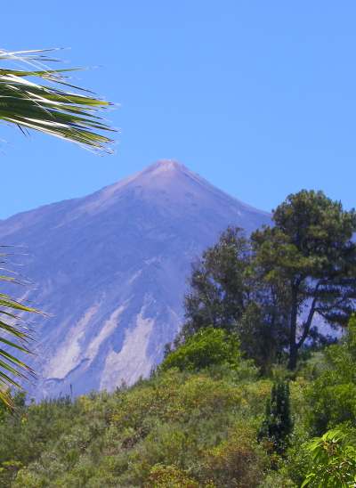 ferienwohnung teneriffa, icod mieten